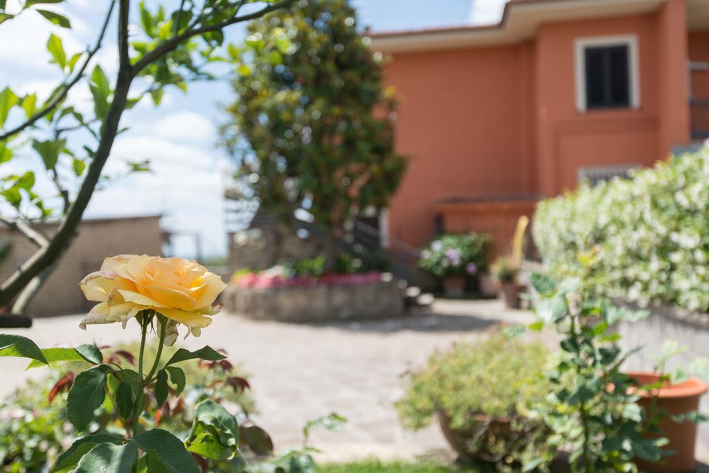 Bed And Breakfast Nonna Loreta Formello Exterior photo